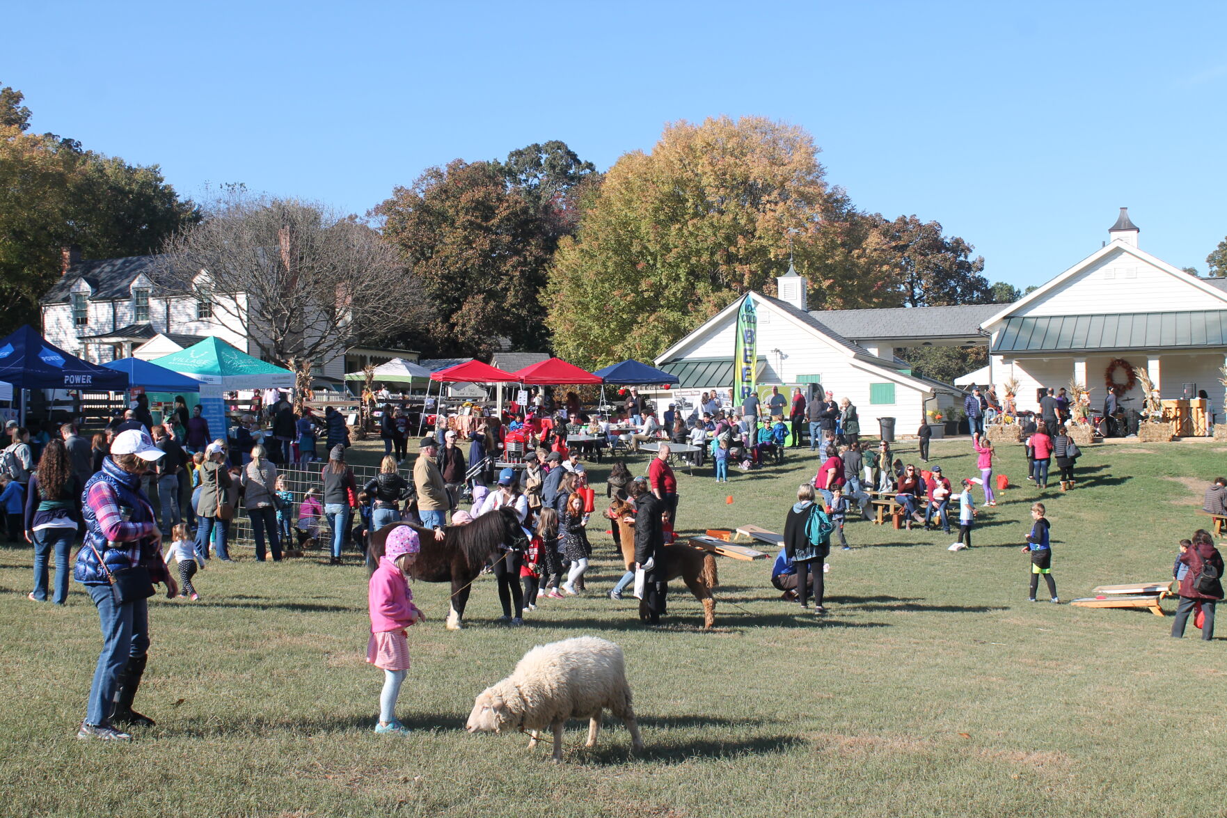 Apple Cider Days